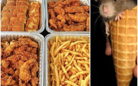 Rat Snacking-A famous eating trend going viral - What is this trend? Is it healthy?