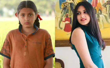 Dangal fame Suhani Bhatnagar bids the world farewell at the tender age of 19