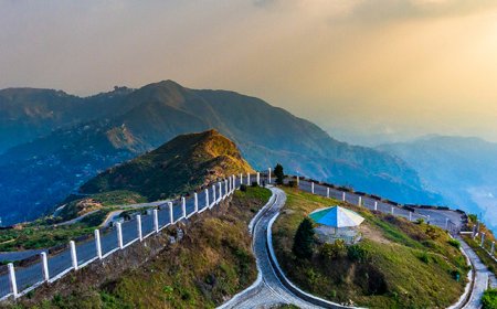 Exploring the Serene Beauty of Kurseong in North Bengal