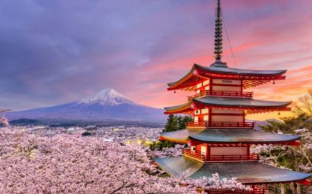 Best Places to Visit in Japan: A Journey Through Culture and Nature