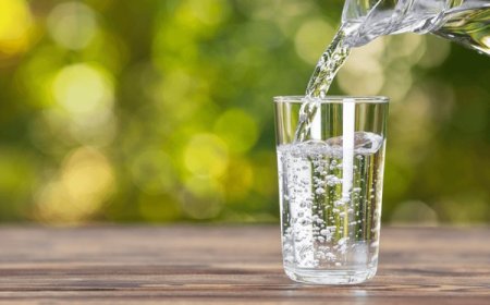 How Much Water Should You Drink Every Day? A Guide to Staying Hydrated