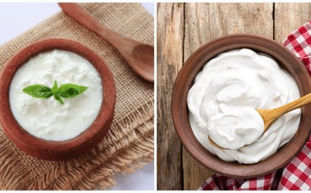 Yogurt vs. Curd: Understanding the Difference and Health Benefits
