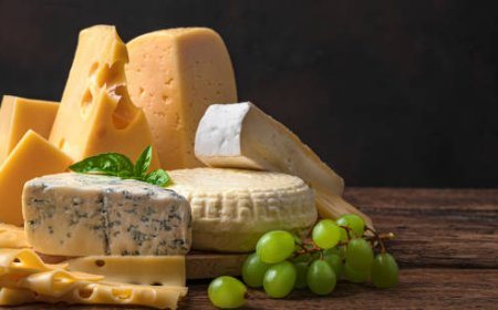 Exploring the Varieties of Cheese: A Global Delight