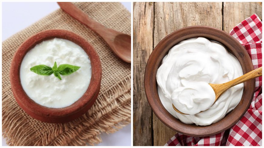 Yogurt vs. Curd: Understanding the Difference and Health Benefits