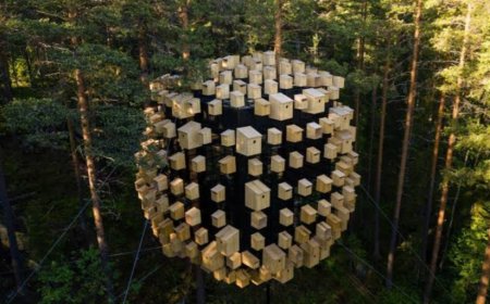 Sweden’s TreeHotel: A Unique Fusion of Nature and Contemporary Design