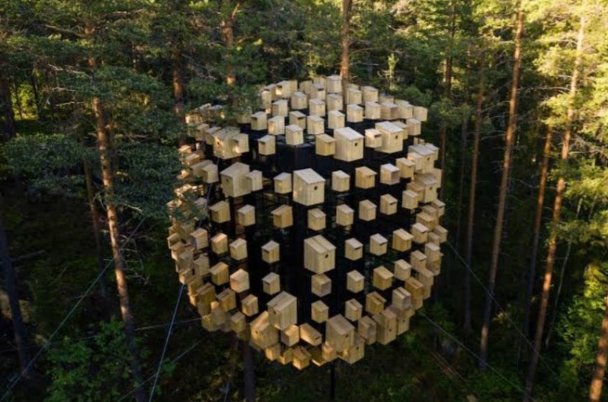 Sweden’s TreeHotel: A Unique Fusion of Nature and Contemporary Design