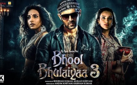 Bhool Bhulaiyaa 3 Soars Past ₹100 Crore Mark in Opening Weekend, Kartik Aaryan Delights Fans with Surprise Theatre Visit