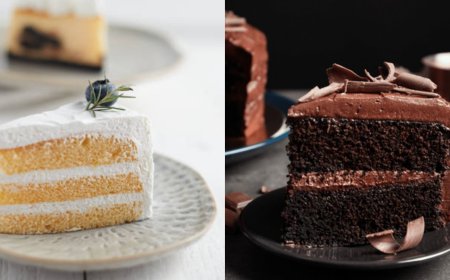 The Sweet Debate: Vanilla Cake vs. Chocolate Cake