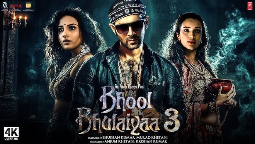 Bhool Bhulaiyaa 3 Soars Past ₹100 Crore Mark in Opening Weekend, Kartik Aaryan Delights Fans with Surprise Theatre Visit