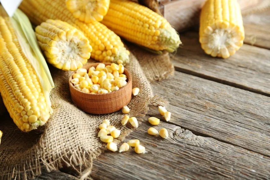 Corn: The Golden Grain Your Diet Needs