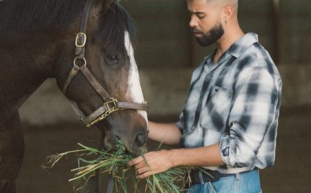 AP Dhillon's Brownprint India Tour to Conclude on December 21