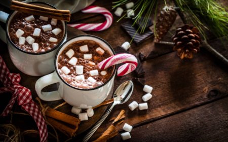 Hot Chocolate: The Perfect Winter Comfort