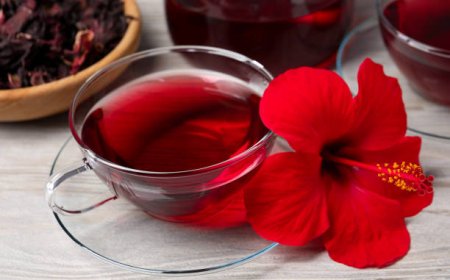 Is Hibiscus Tea Good for Your Health?