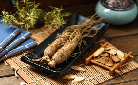 The Power of Korean Ginseng: A Natural Health Booster