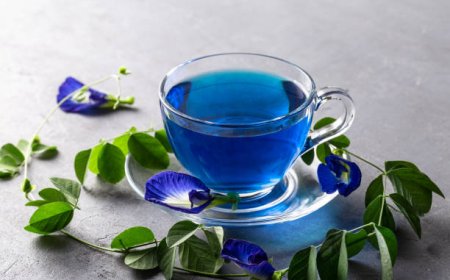 Butterfly Pea Tea: The Vibrant Blue Brew Capturing Global Attention