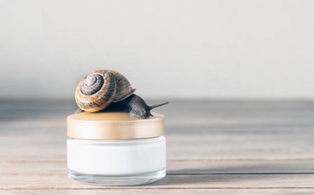 Snail Mucin: The Skincare Ingredient Taking the Beauty World by Storm