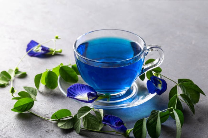 Butterfly Pea Tea: The Vibrant Blue Brew Capturing Global Attention