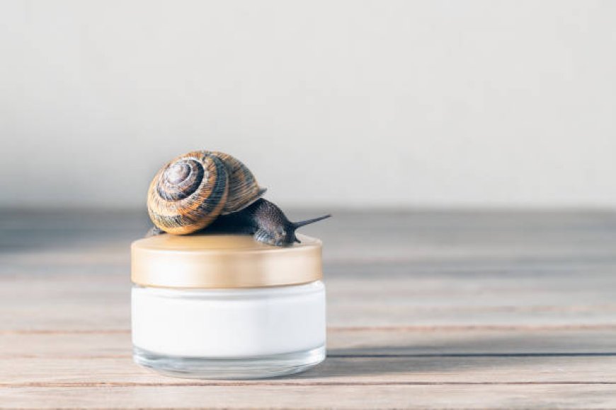 Snail Mucin: The Skincare Ingredient Taking the Beauty World by Storm
