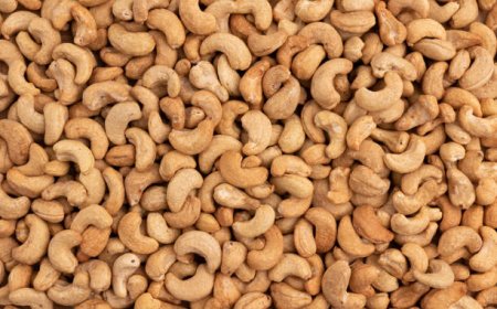 Salted Cashew Nuts: A Delicious and Healthy Snack Trend